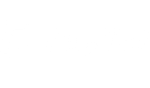 paypal-white-L