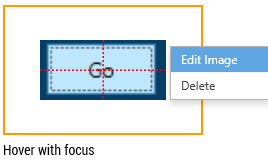 screenshot of the edit image module