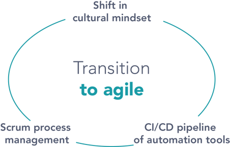transition to agile 